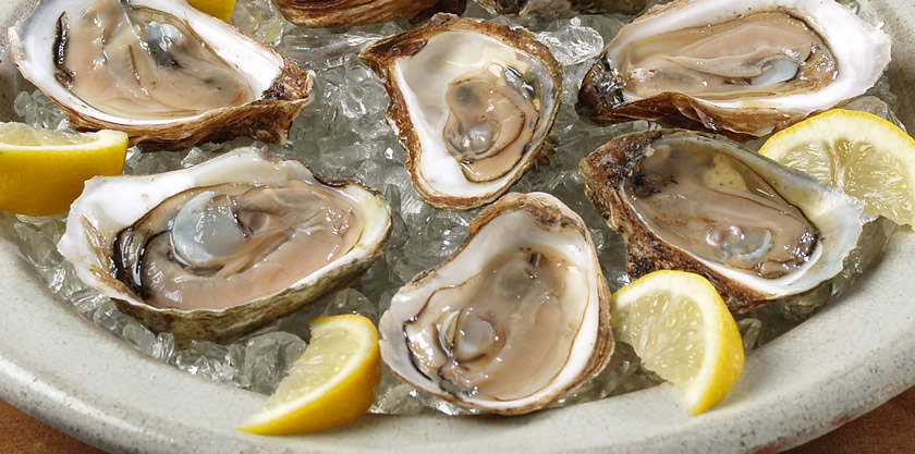Oysters